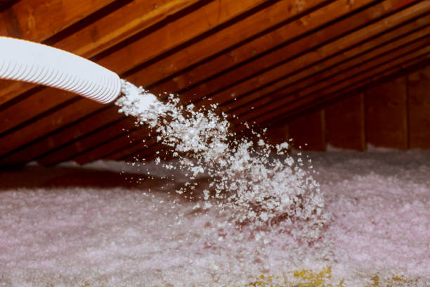 Best Insulation Installation Services in Ellisburg, NJ