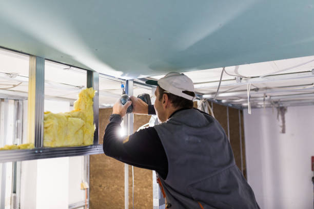 Best Residential Insulation in Ellisburg, NJ